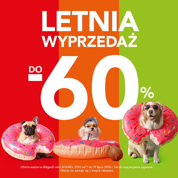 Grafika promocyjna wyprzedaży w sklepie zoologicznym Aquael ZOO. 3 psy w kołach ratunkowych na kolorowym tle.
